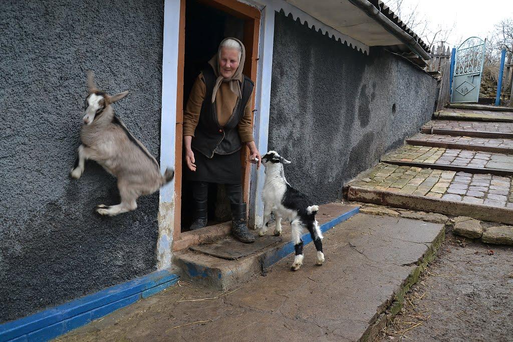 Грабарівка з panoramio.com - Грабарівка