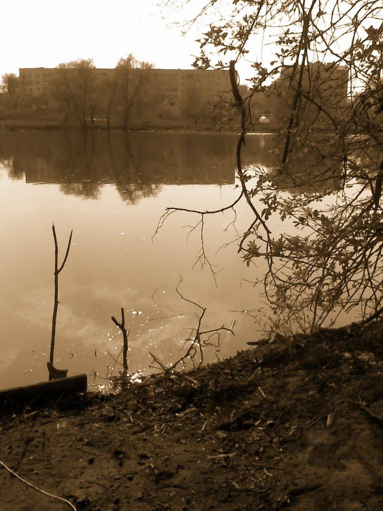 Миронівка з panoramio.com - Миронівка