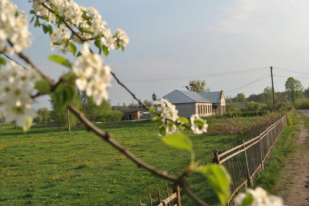 Волсвин з panoramio.com - Волсвин