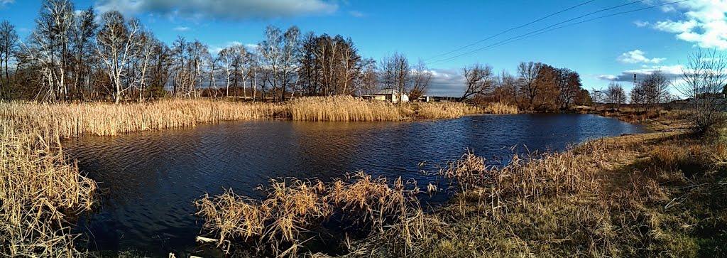 Станично-Луганське з panoramio.com (ч.2) - Станично-Луганское