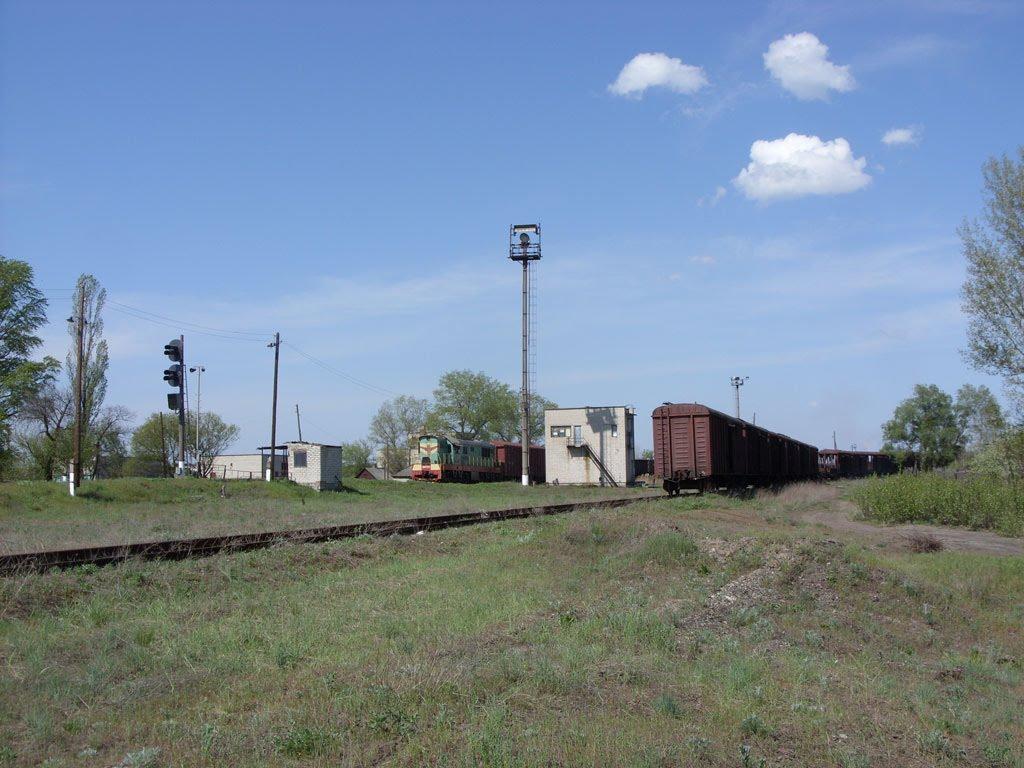 Станично-Луганське з panoramio.com (ч.2) - Станично-Луганское