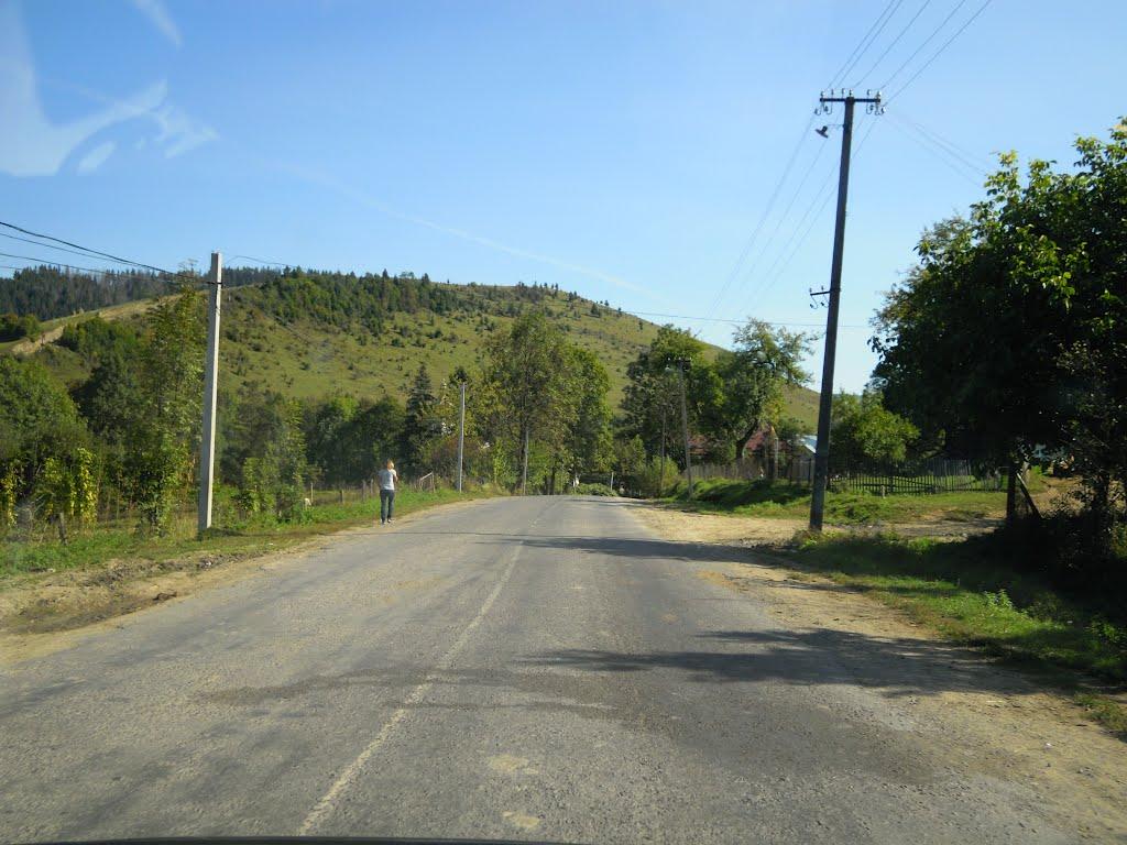 Гукливий з panoramio.com (ч.2) - Гукливий