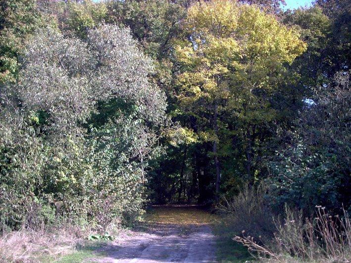 Олександрія з panoramio.com - Александрия