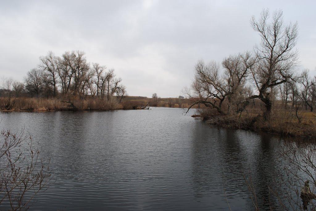 Миколаївка з panoramio.com - Миколаївка