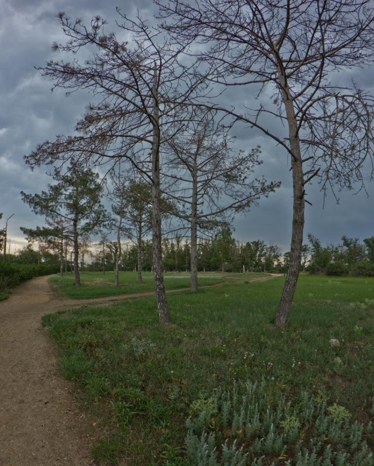 Роздольне з panoramio.com - Роздольне