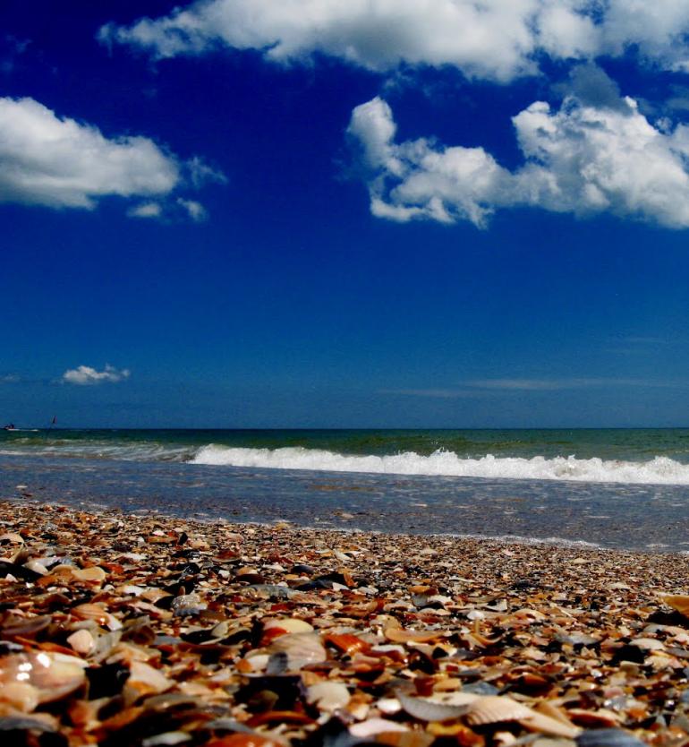 Сергіївка з panoramio.com - Сергіївка