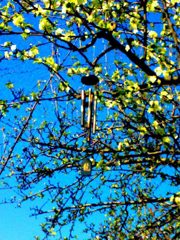 Нікополь з panoramio.com (ч.2) - Никополь