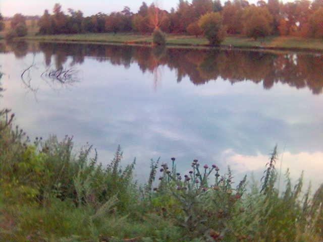 Глибоке з panoramio.com - Глубокое