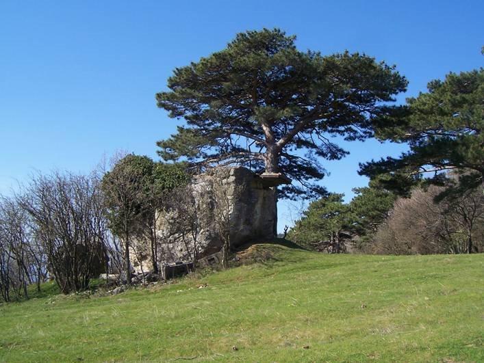 Голуба Затока з panoramio.com (ч.2) - Голуба Затока