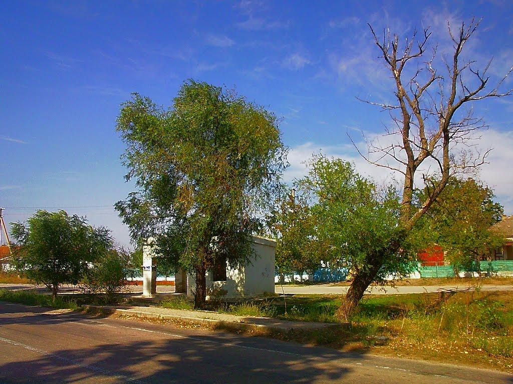 Кочергіне з panoramio.com - Кочергіне