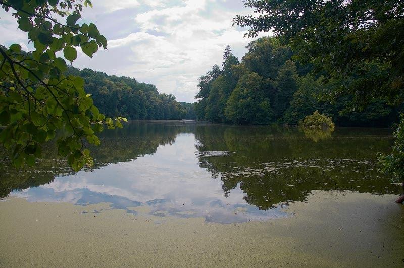 Тростянець з panoramio.com - Trostianets