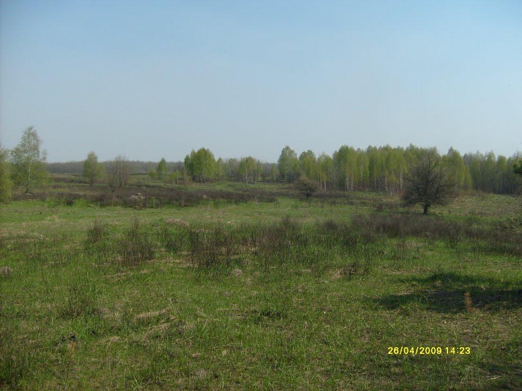 Гута-Зеленицька з panoramio.com - Гута-Зеленицька