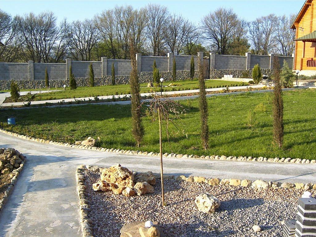 Орлине з panoramio.com - Орлине