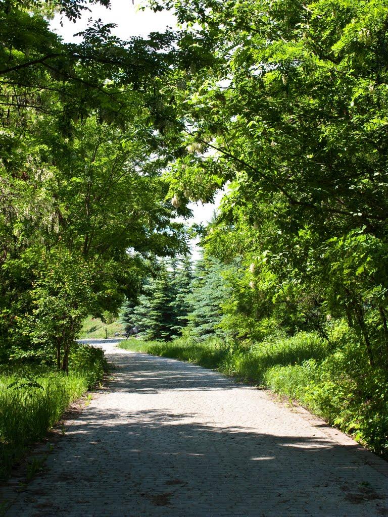 Трахтемирів з panoramio.com - Трахтемирів