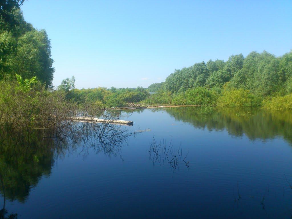 Количівка з panoramio.com - Количівка