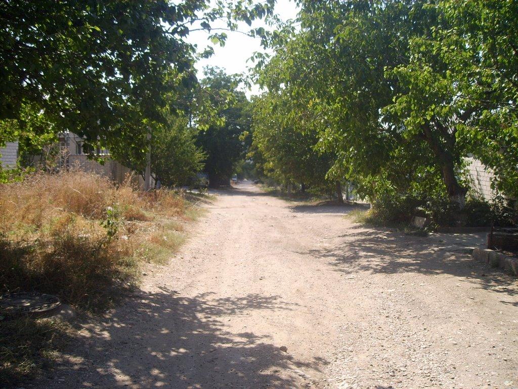 Сімферополь з panoramio.com (ч.13) - Симферополь