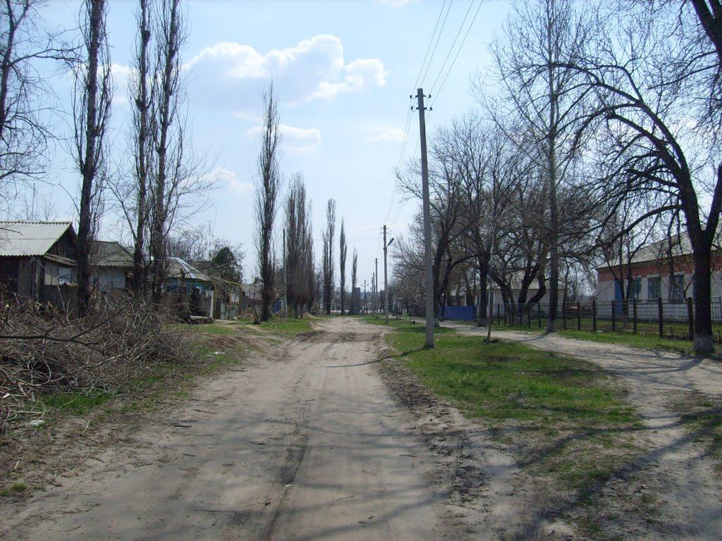 Кружилівка з panoramio.com - Кружилівка