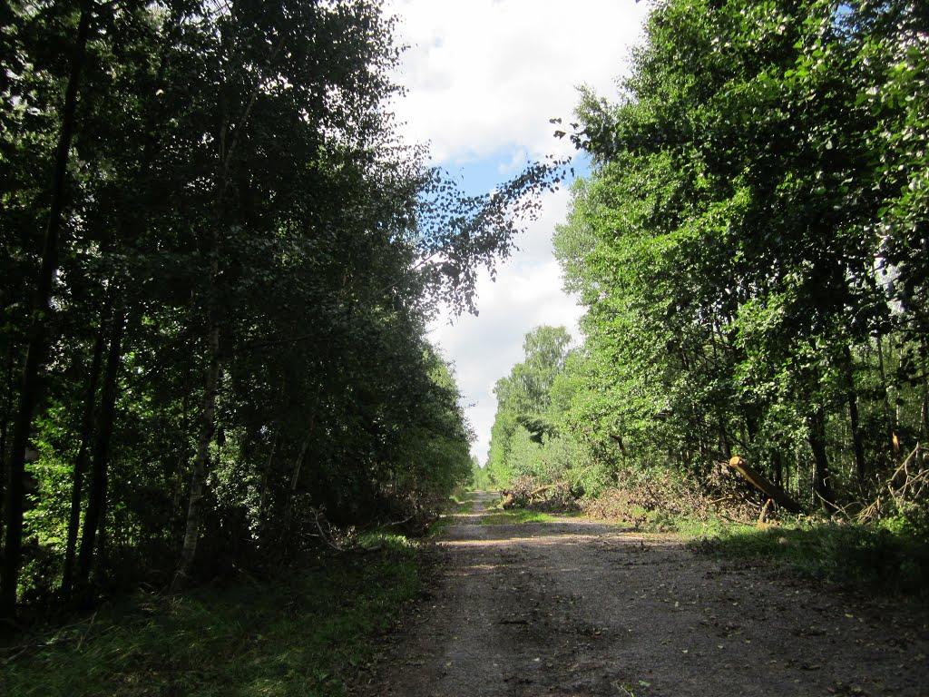 Карпівка з panoramio.com - Карпівка