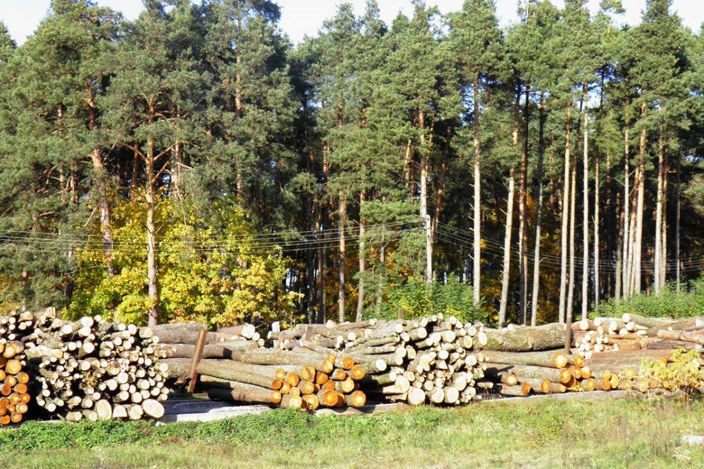 Деражне з panoramio.com - Деражне