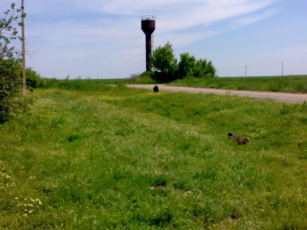 Благовіщенське з panoramio.com - Благовіщенське