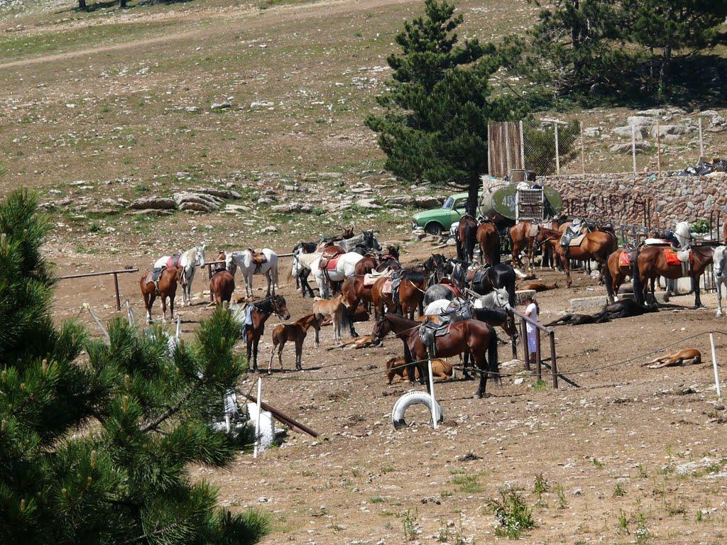 Охотниче з panoramio.com (ч.3) - Охотничее