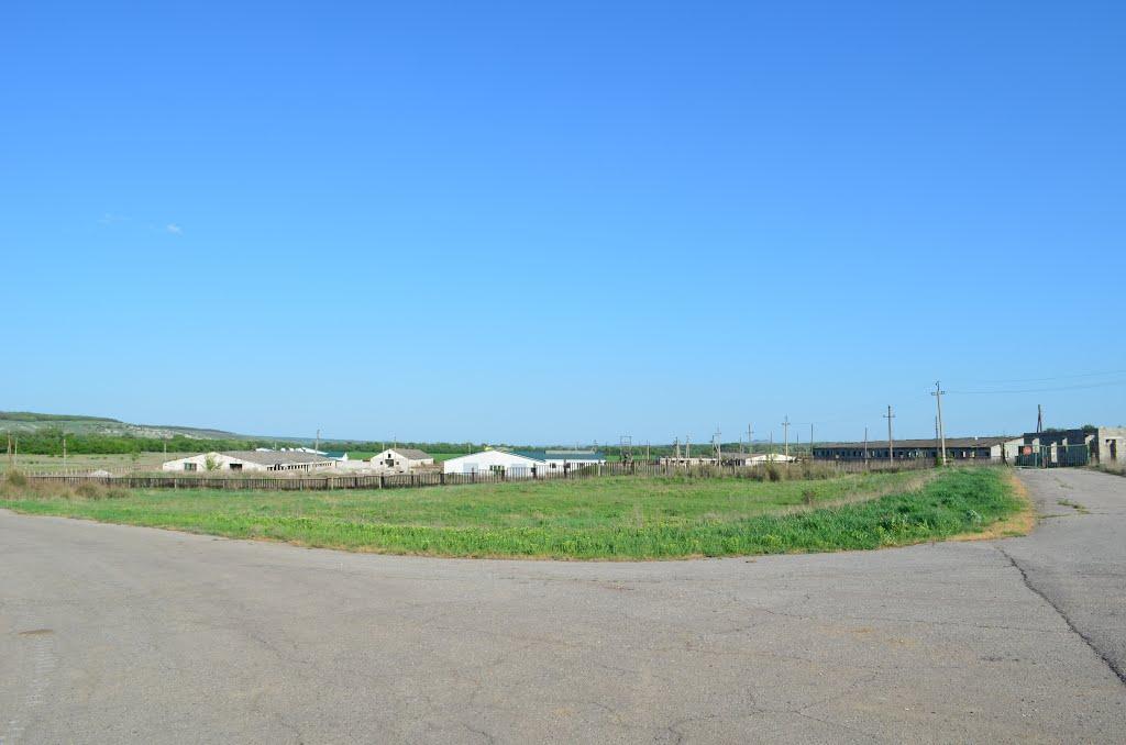 Петровеньки з panoramio.com - Петровеньки