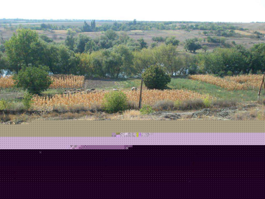 Синюхин Брід з panoramio.com - Синюхин Брід