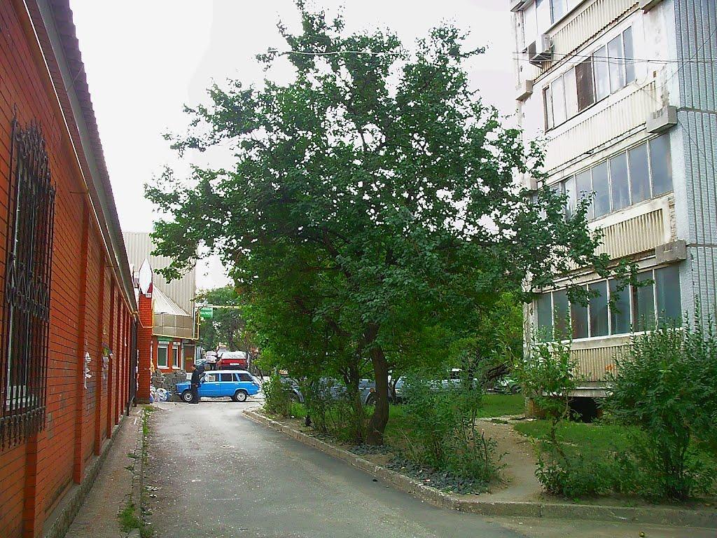 Сімферополь з panoramio.com (ч.13) - Симферополь