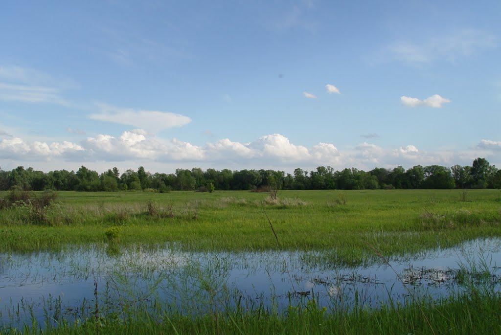 Хотянівка з panoramio.com - Хотянівка