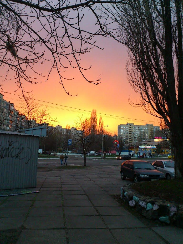 Коцюбинське з panoramio.com (ч.3) - Коцюбинское