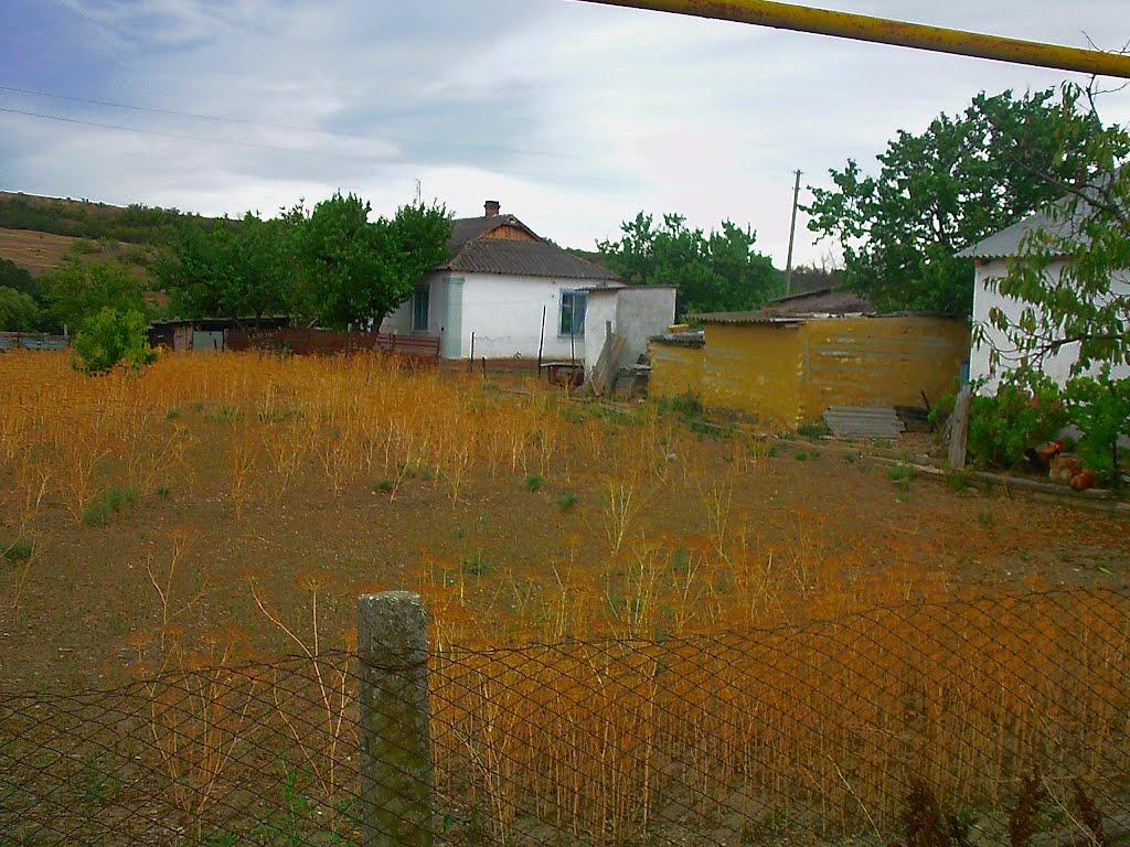 Шевченкове з panoramio.com - Шевченково