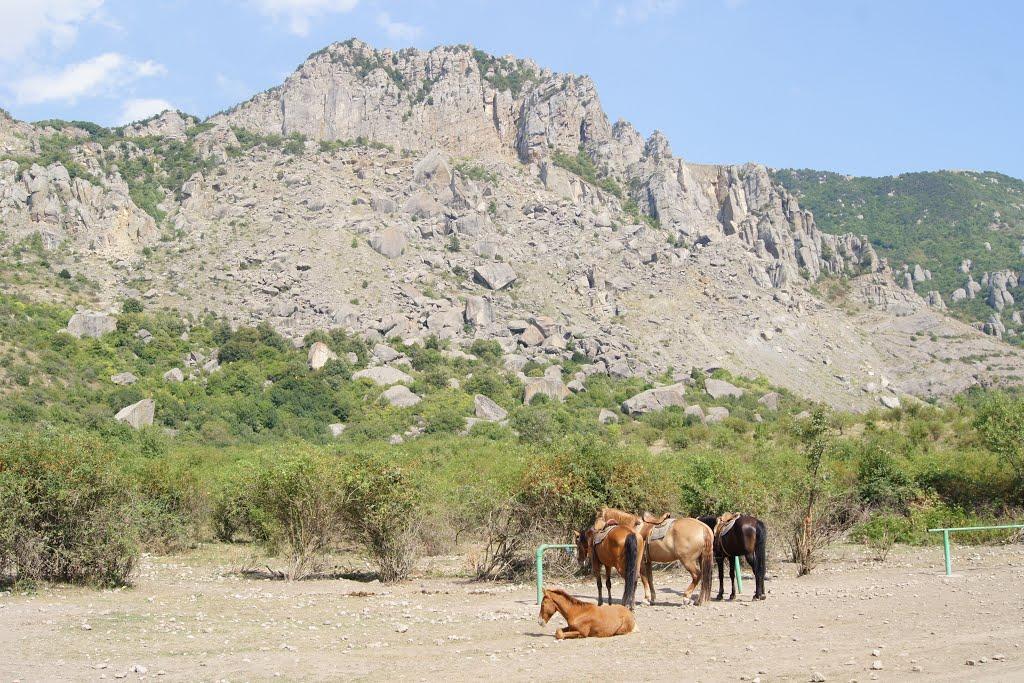 Лучисте з panoramio.com (ч.2) - Лучисте