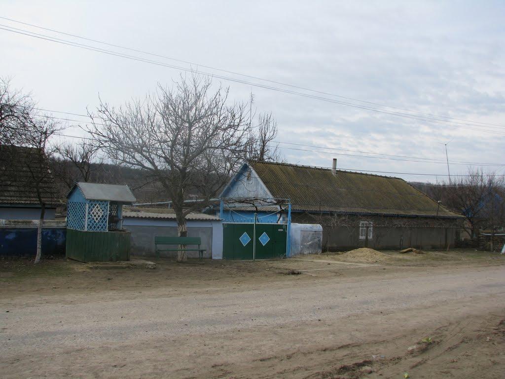 Олександрівка з panoramio.com - Олександрівка