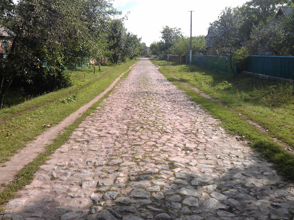 Великі Крушлинці з panoramio.com - Великі Крушлинці