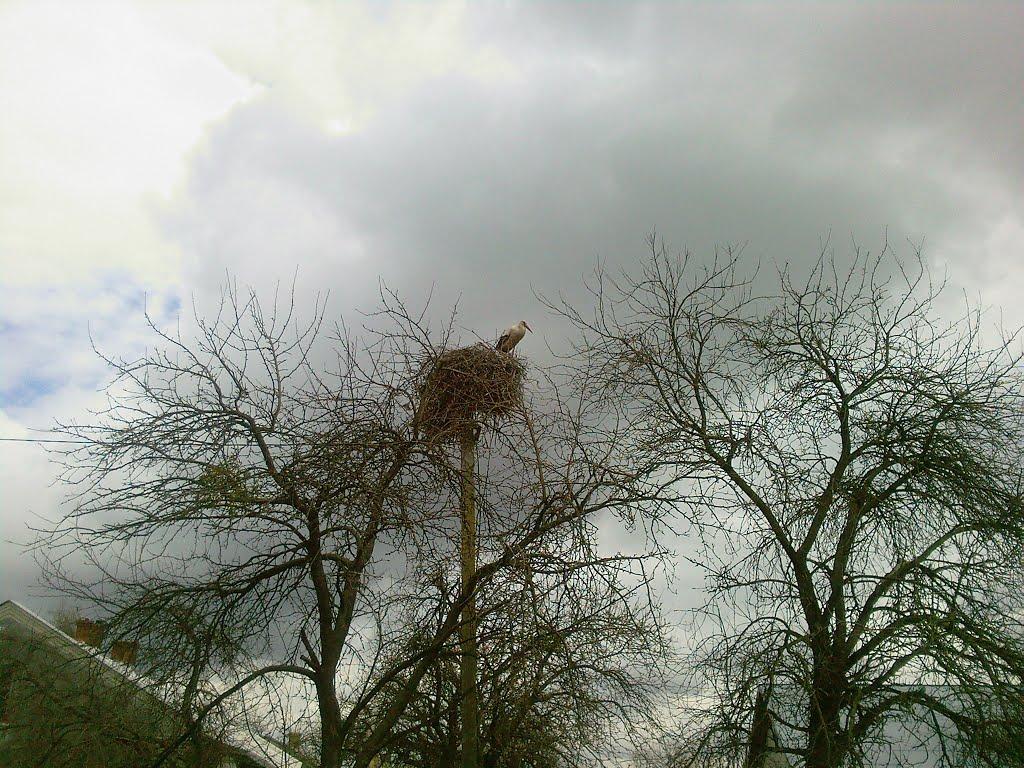 Чаниж з panoramio.com - Чаниж