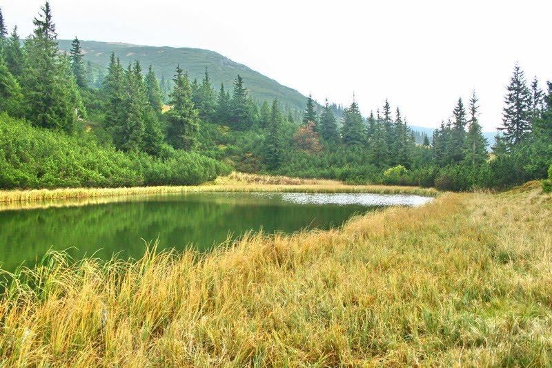 Говерла з panoramio.com (ч.2) - Говерла