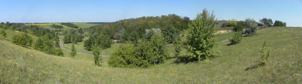 Вереміївка з panoramio.com - Веремиевка