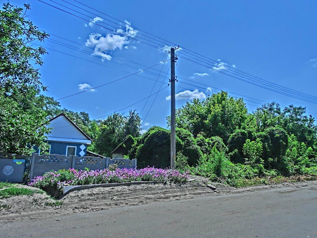 Олександрія з panoramio.com (ч.3) - Александрия