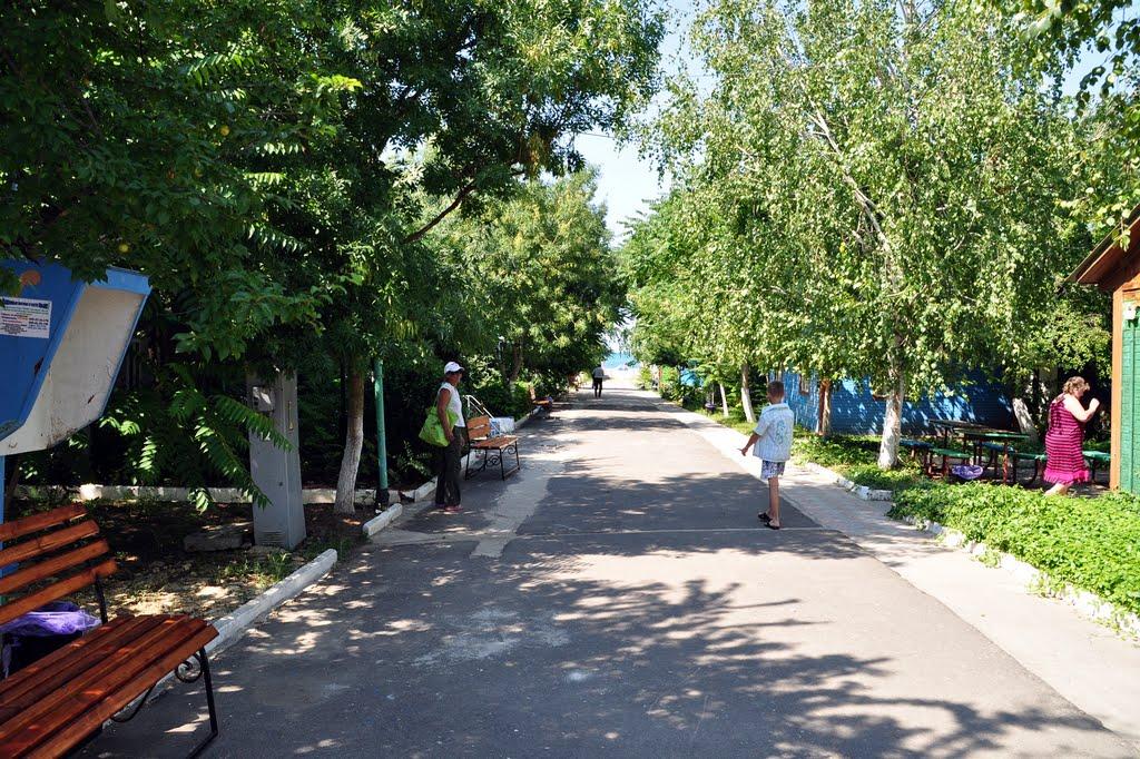 Стерегуще з panoramio.com - Стерегущее