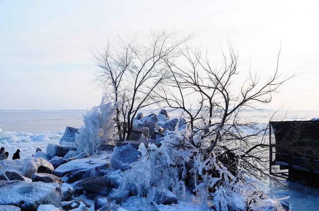 Нікополь з panoramio.com (ч.2) - Никополь