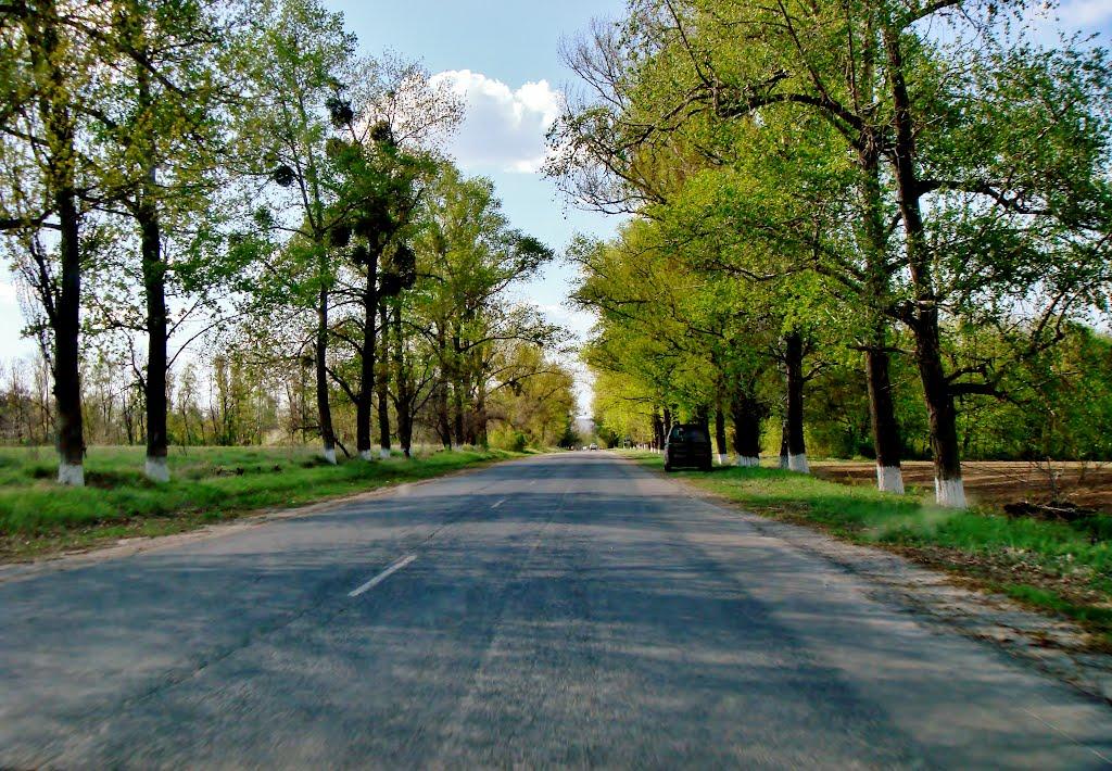 Гудзівка з panoramio.com - Гудзівка