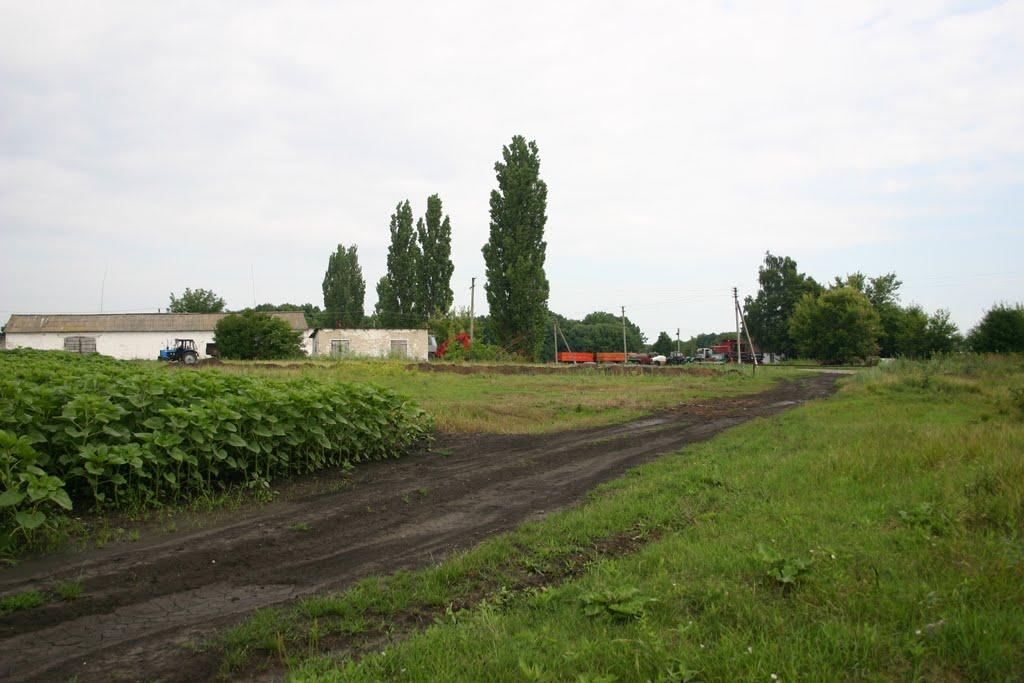 Ленінське з panoramio.com - Ленінське