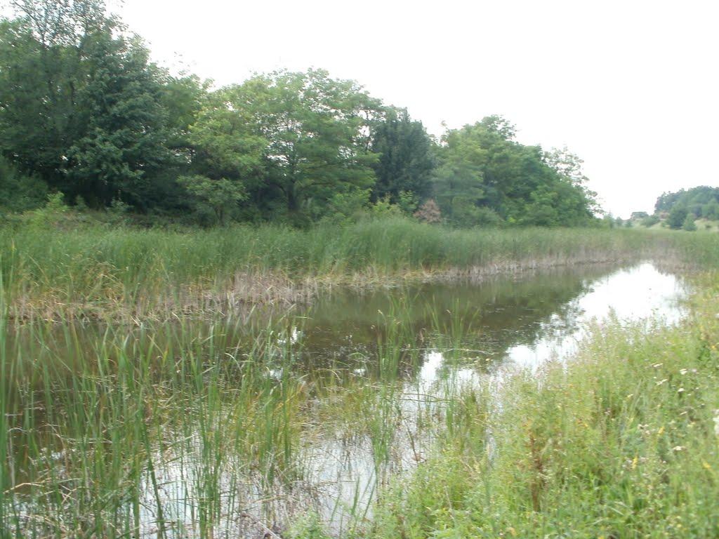 Горлівка з panoramio.com (ч.7) - Горловка