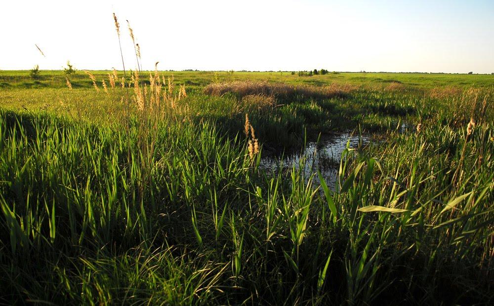 Узин з panoramio.com - Узин