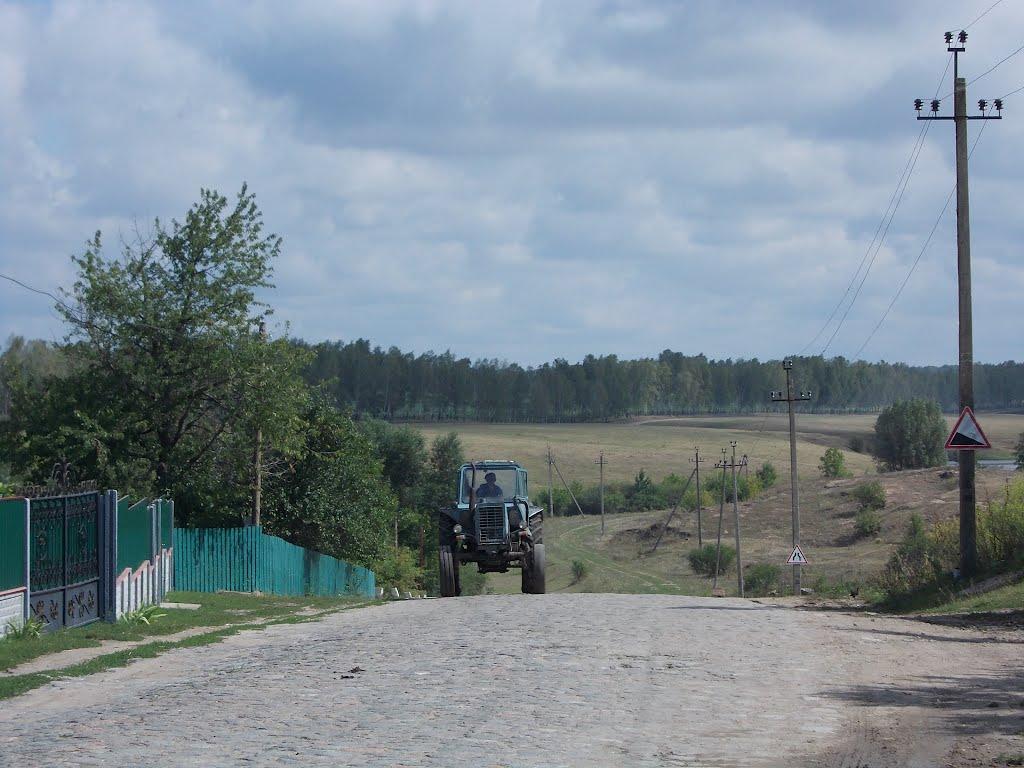 Липовець з panoramio.com - Липовець