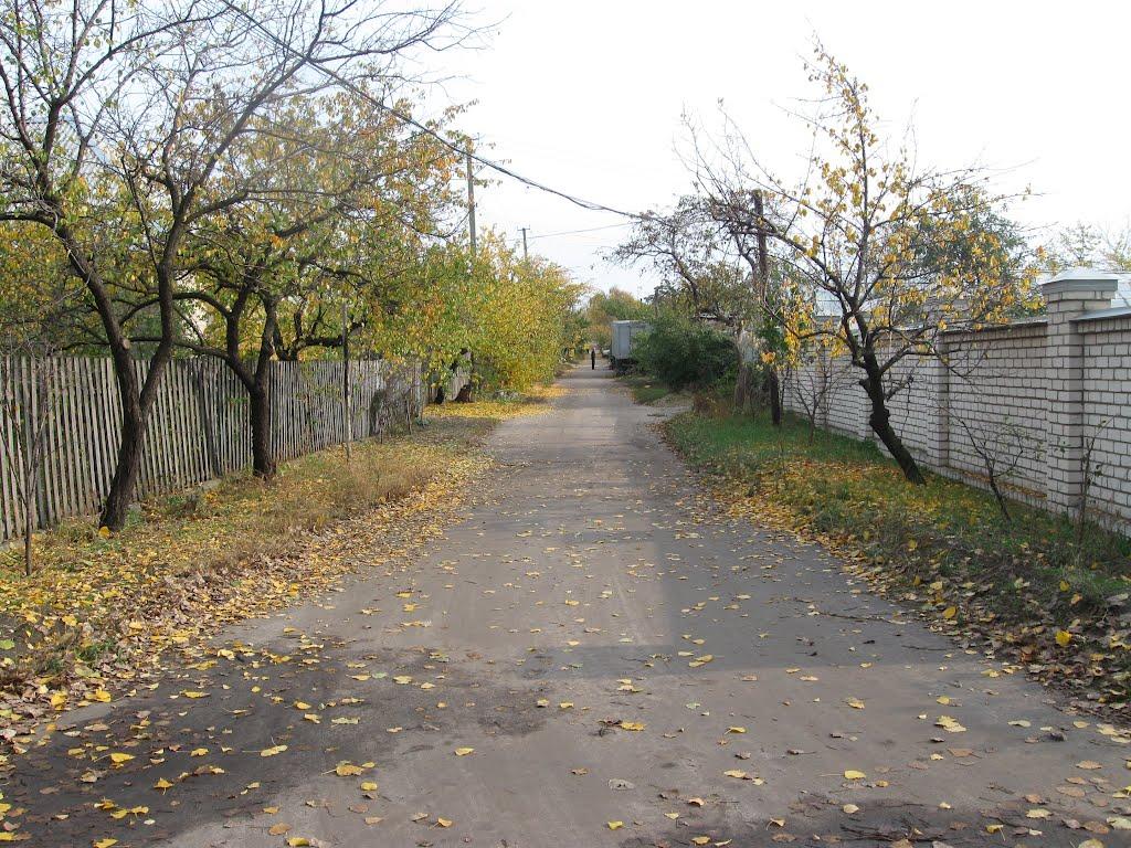 Сєверодонецьк з panoramio.com (ч.3) - Северодонецк