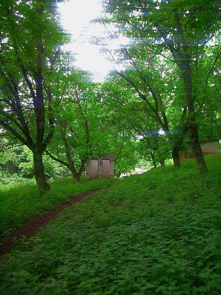 Краснолісся з panoramio.com - Краснолісся