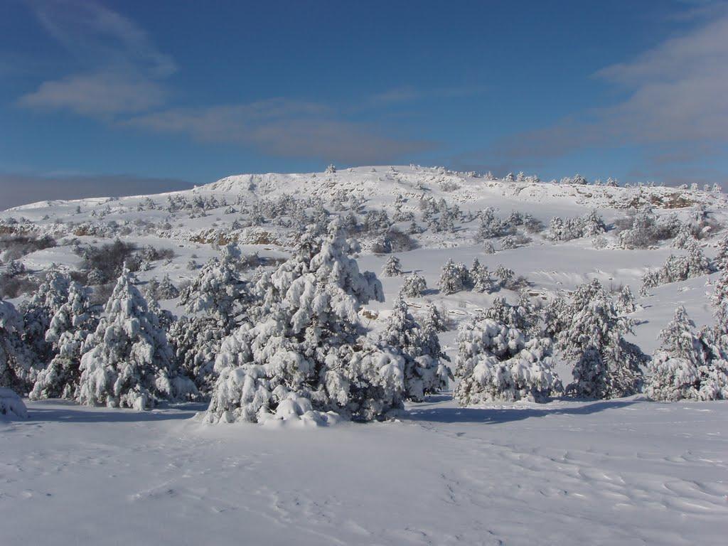 Охотниче з panoramio.com (ч.3) - Охотничее