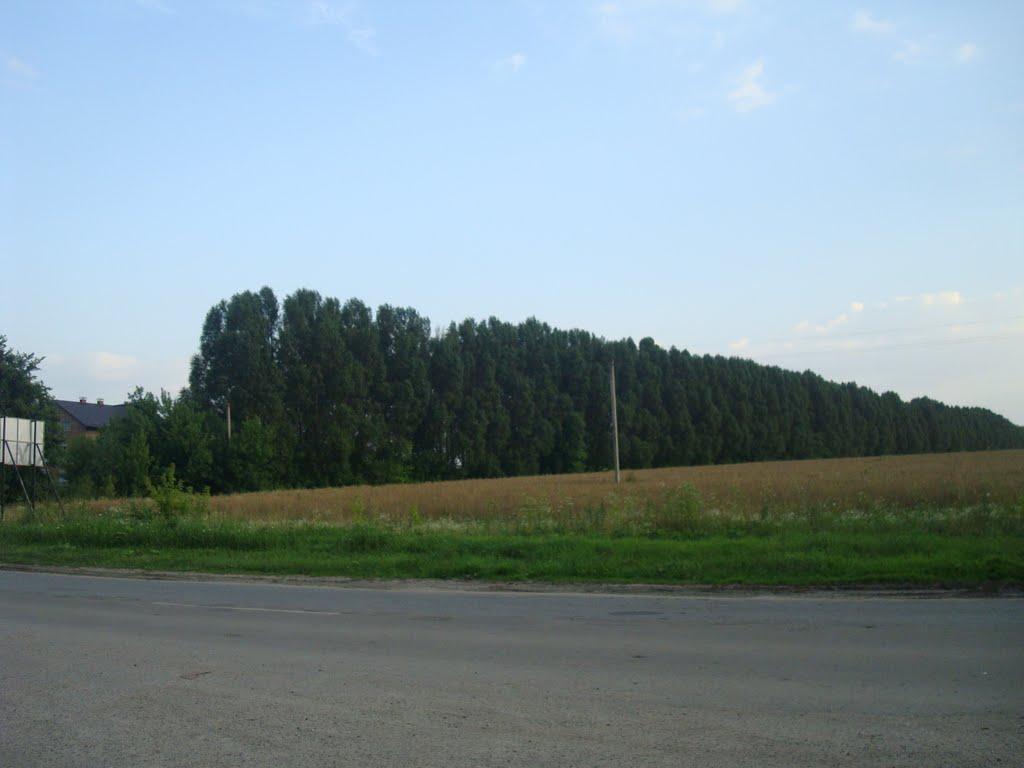Хмельницький з panoramio.com (ч.13) - Хмельницкий