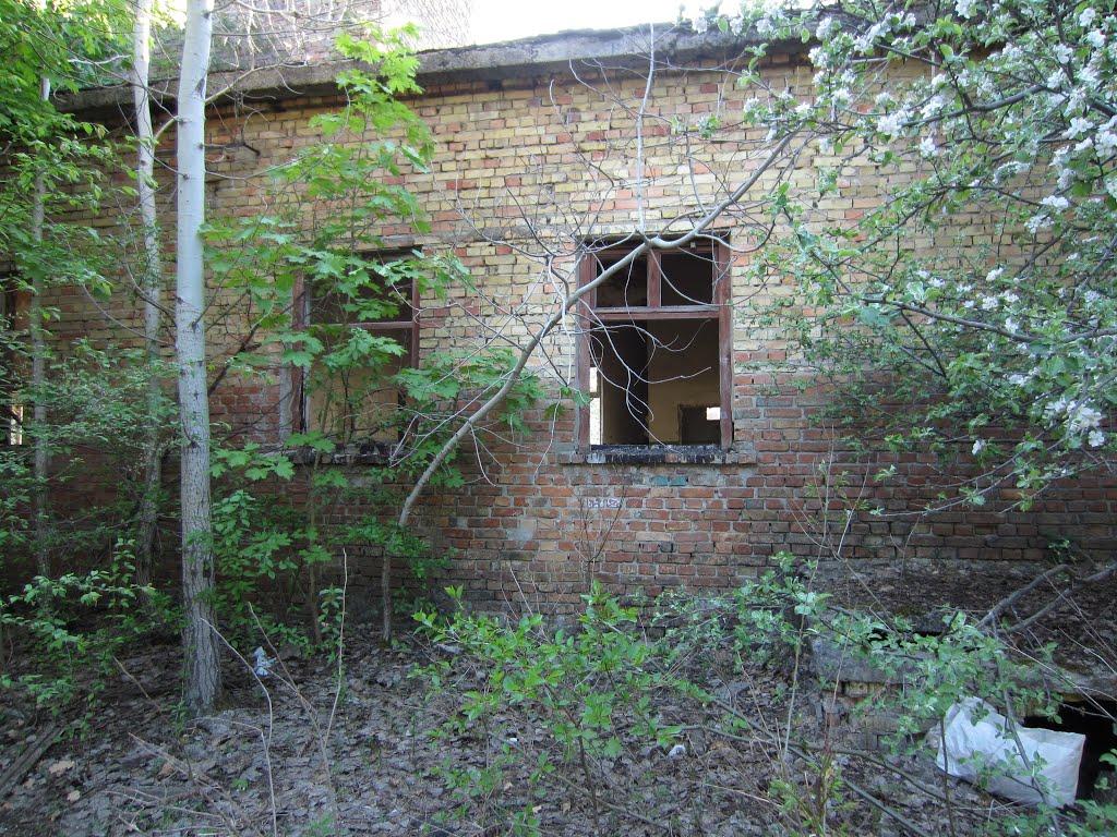 Погреби з panoramio.com (ч.3) - Погреби